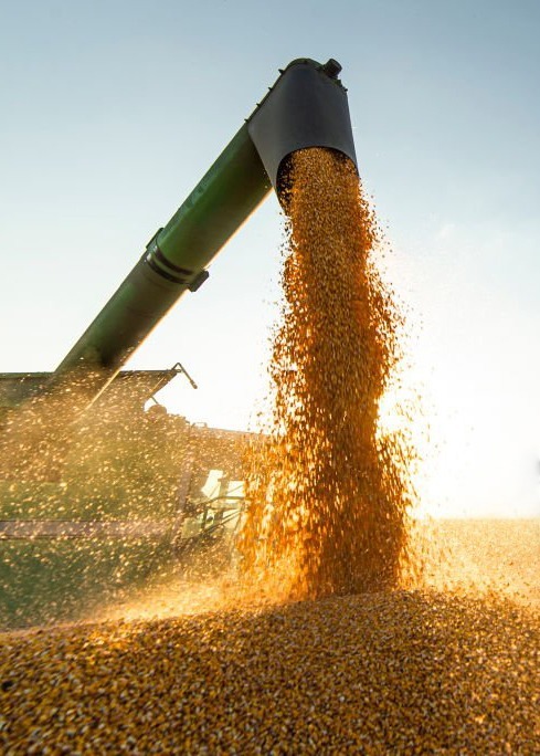 Agriculture Sourcing