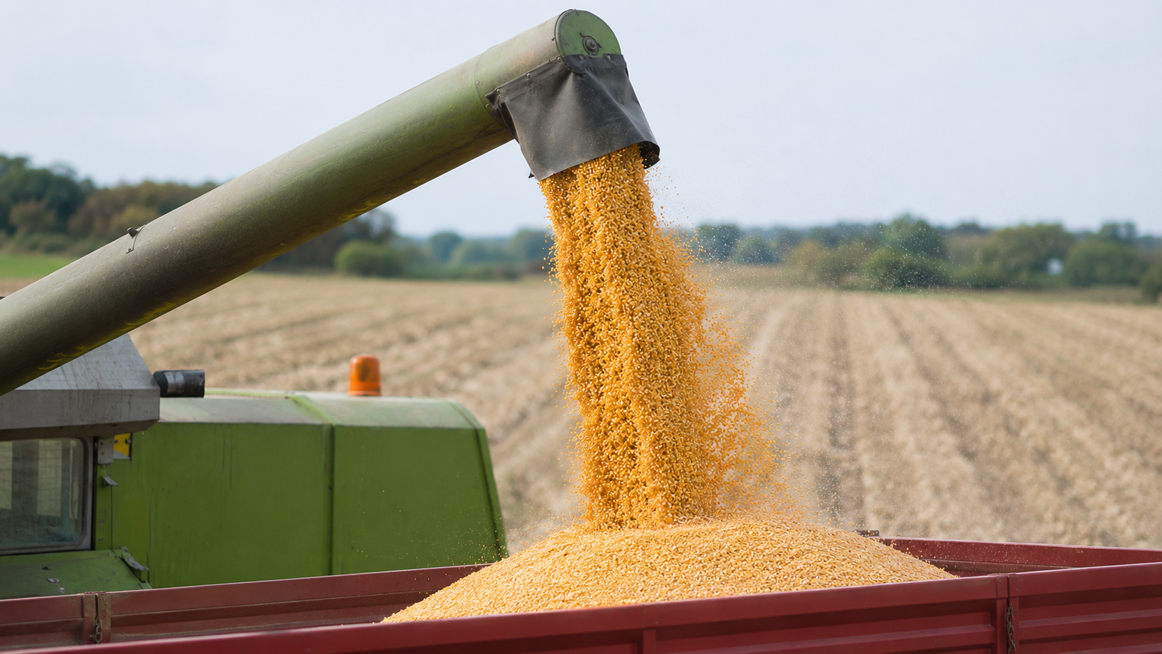 Agricultural Commodities